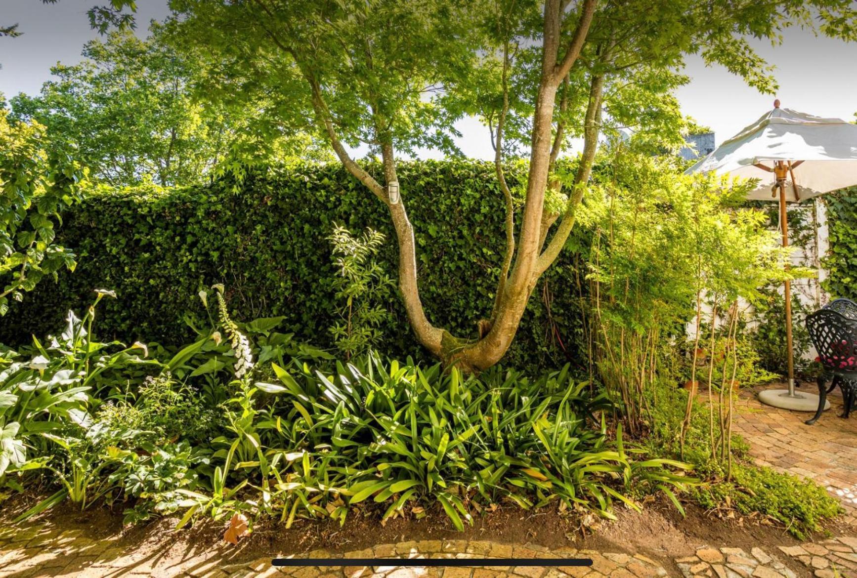 Guest Suite - Leafy Constantia Guest House Cidade Do Cabo Exterior foto